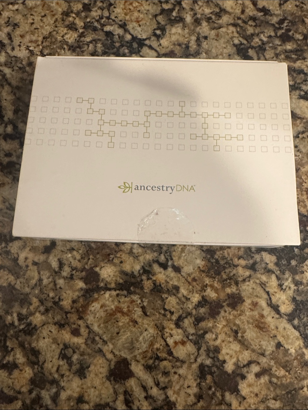 AncestryDNA Kit Box - White with Olive Logo